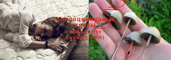 стафф Гусь-Хрустальный