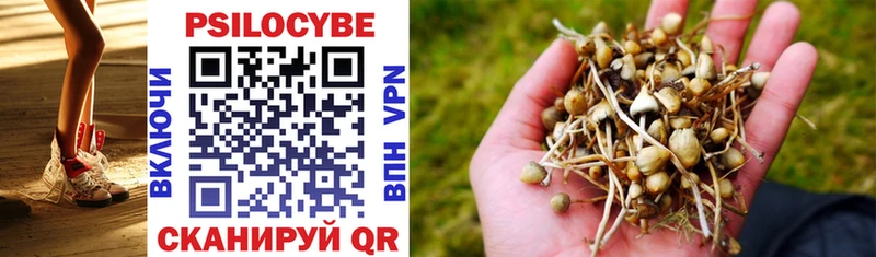 Купить  Купино  Галлюциногенные грибы GOLDEN TEACHER 